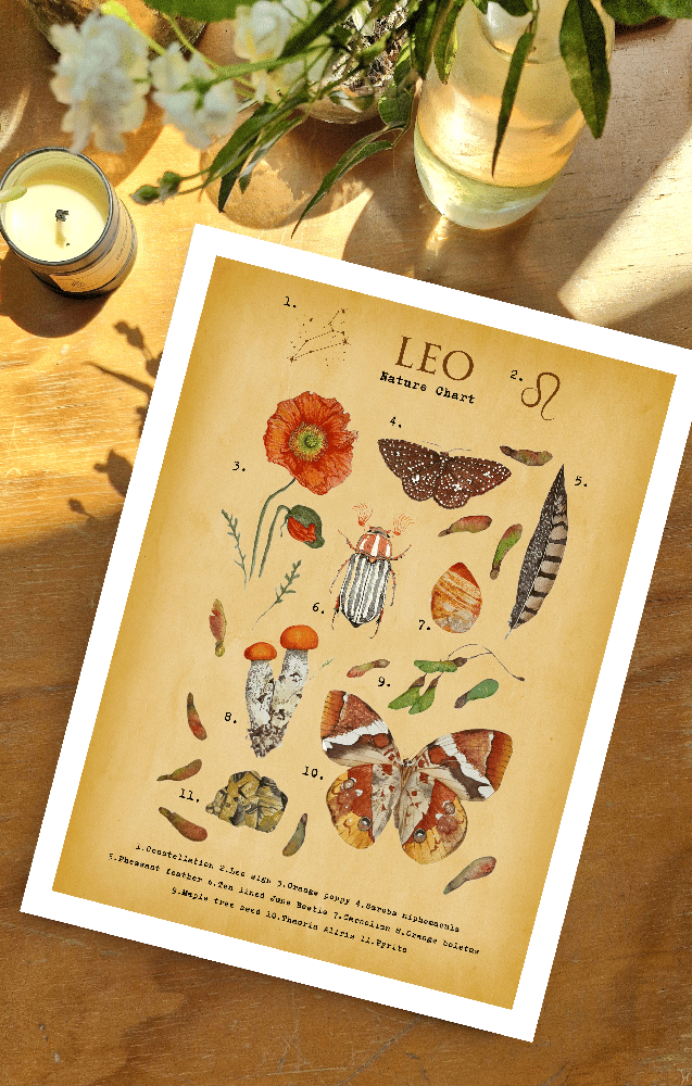 Vintage Leo Nature Chart PRINT Nussay Watercolor
