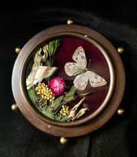 Image 1 of Mini Vintage Checkered White Butterfly Botanical Frame