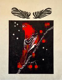 Nightbird No.1