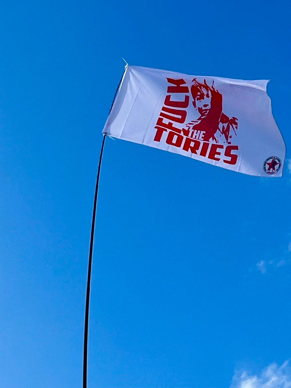 F**k the Tories Flag