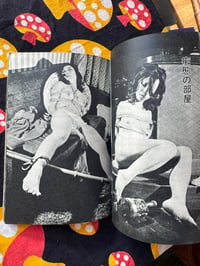 Image 13 of SM Collectors; Pictorial Special, 70s