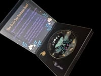 Luna moth pendulum divination kit