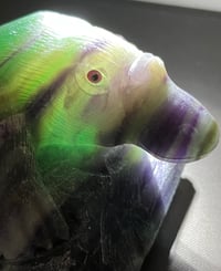 Image 6 of Platypus Fluorite Carving #2919