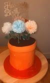 Plant Pot Cake