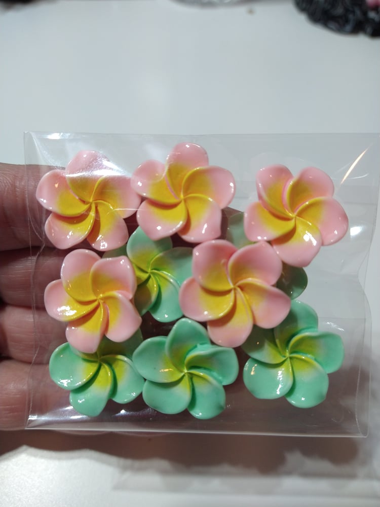 Image of Flower Cabochon Mix