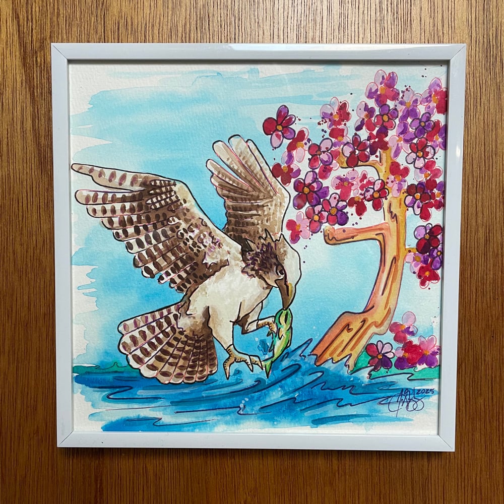Image of Osprey