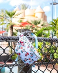 Image 3 of Cruise Fanny Packs