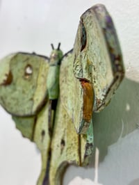 Image 4 of Luna Moth- Jil Johnson