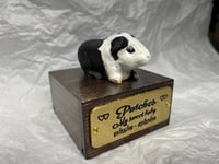 Image 1 of Custom Engraved Guinea Pig Urn Custom HandPainted To Your Photos