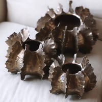 Image 1 of Erizos de cobre