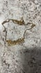 Image of Single Plate Name Necklace 