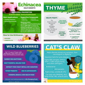 Image of Virus Fighter Tea