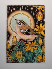 Image 2 of Goldcrest and lesser celandine Coloured