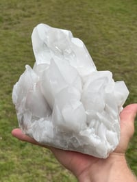 Image 7 of Clear Quartz Points Cluster Statement Piece #2188