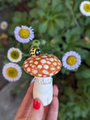 Image 1 of Ceramic Mushrooms