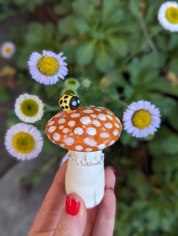 Image of Ceramic Mushrooms