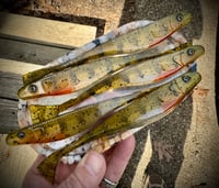 Image 5 of BIG JERKS - “TREX PERCH”