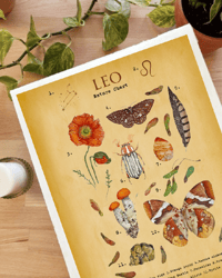 Image 5 of Vintage Leo Nature Chart PRINT