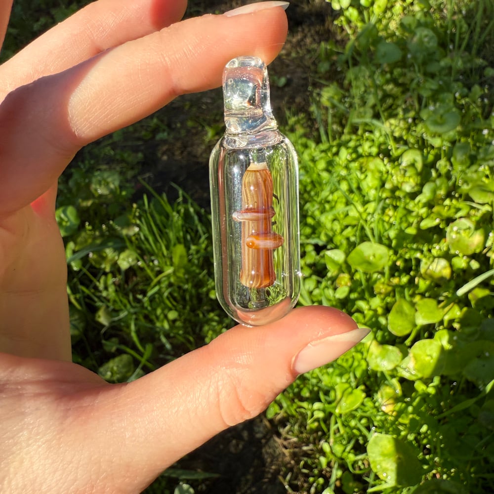 Image of Mushroom Micro Encapsulations