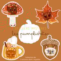 Image 1 of Les Pumpkichats