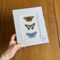 Image 2 of Butterfly Collection Giclee Print - Various Designs