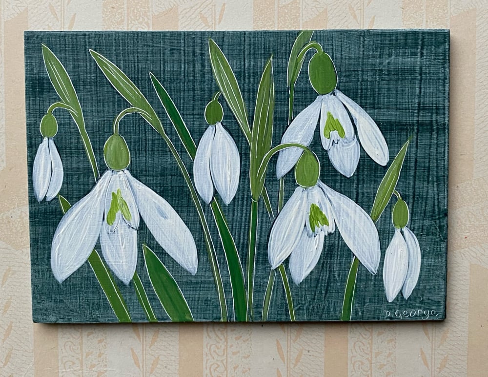 Image of Snowdrop Study (3)
