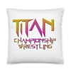 Titan/Goddesses Pillow 