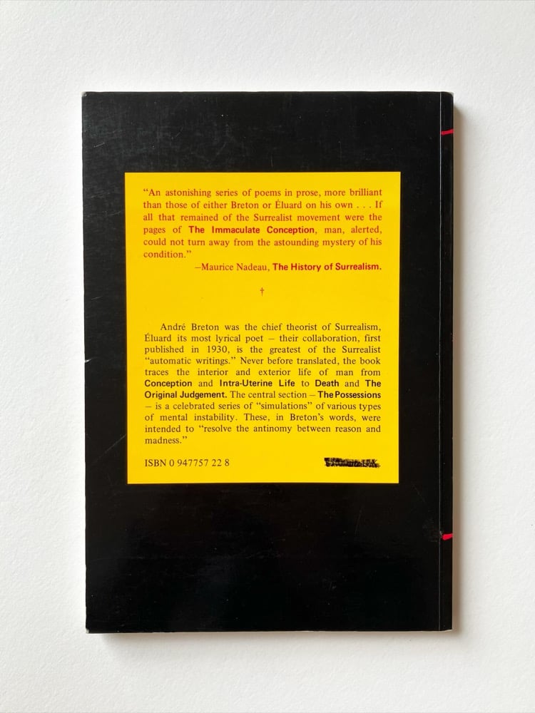 The Immaculate Conception Image 2