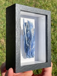 Image 11 of Blue Kyanite & Quartz Specimen #1897