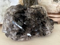Image 7 of Large Smoky Quartz Points Cluster #2319