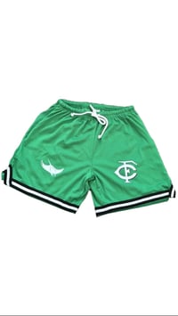 Image 1 of FYE SHORTS GREEN