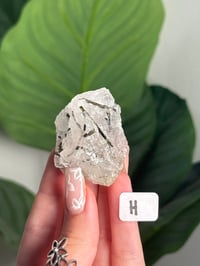 Image 8 of RUTILATED EPIDOTE IN QUARTZ -AUSTRIA- CHOOSE YOUR OWN