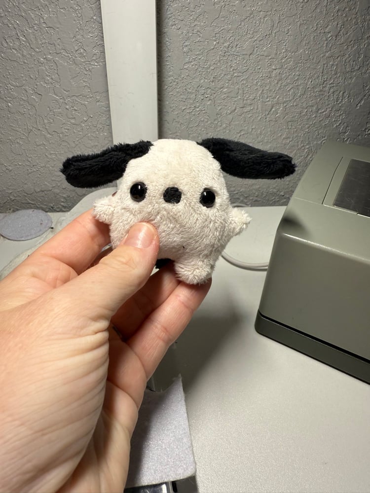 Image of Tiny pup