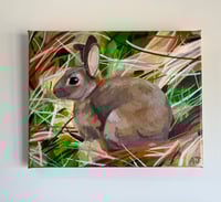 Image 2 of Rabbit