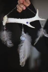 Image 1 of Suncatcher - Corno di capriolo e Tanzanite