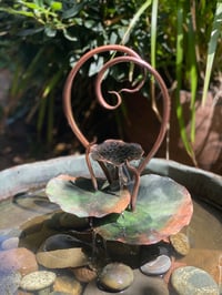 Image 1 of 🍃🧡Lotus Heart🩵🍃