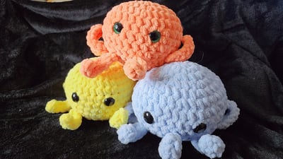 Image of Octopus 
