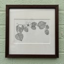 Image 1 of £50 originals - Rasberries , pointillism