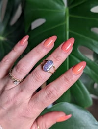 Image 3 of The Katie