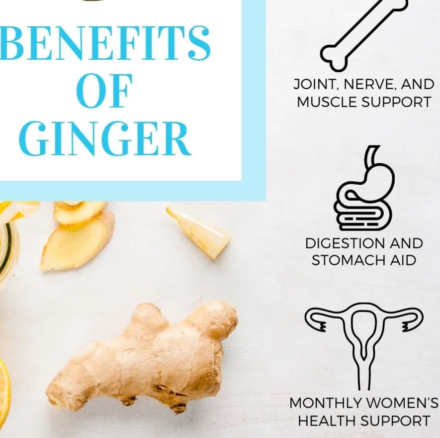 REAL HOT GINGER! Dried Indian Ginger Root-Circulation-Blood Thinner-Digestion-Headache-GERD/Reflux