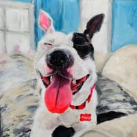 Image 5 of Dogs 1