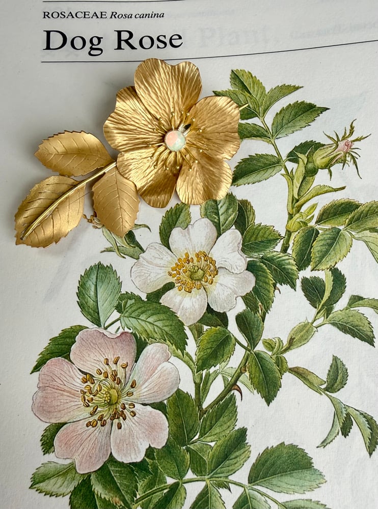 Image of Dog Rose Pendant