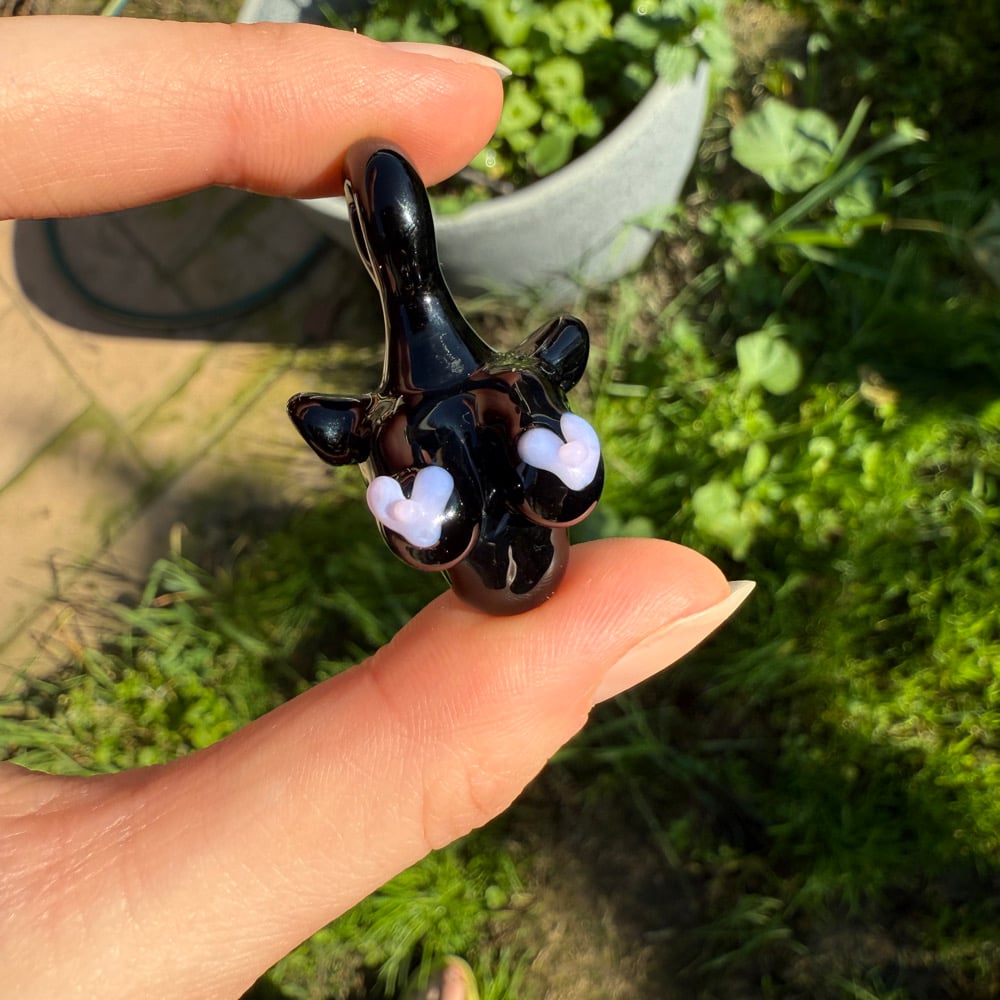 Image of Heart Pastie x Latex Bust