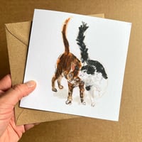 Image 2 of Cat Nuzzles - Set Of 4 Luxury Greetings Cards