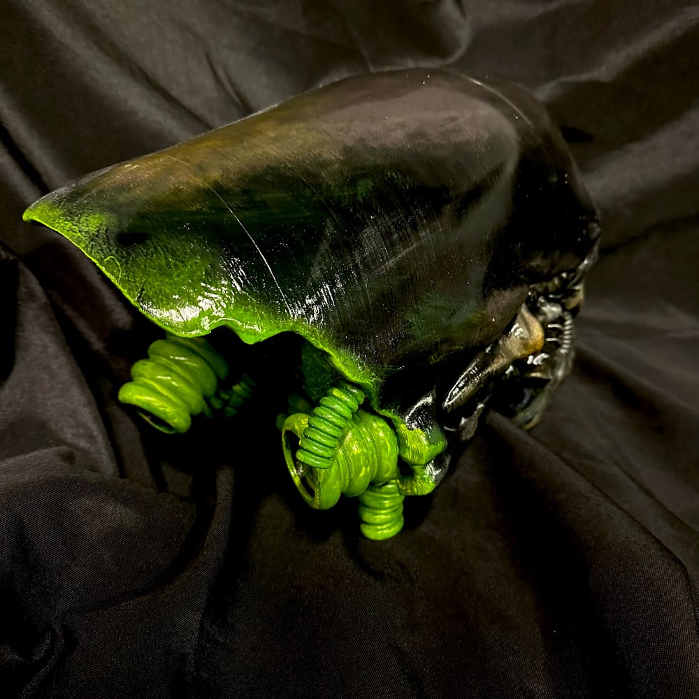 1:1 Scale Xenomorph Warrior Trophy Head