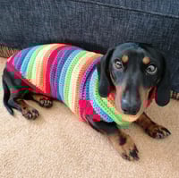 Image 3 of Snazzy Happy Rainbow
