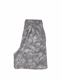 Image 4 of Paisley #Donda 