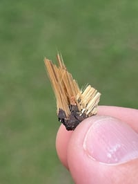 Image 3 of Golden Rutile & Hematite Star Specimen|Brazil #3054