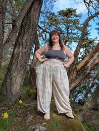 Image 1 of Peaches & Cream Checkered Pants