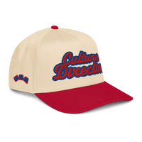 Image 3 of The USA SnapBack